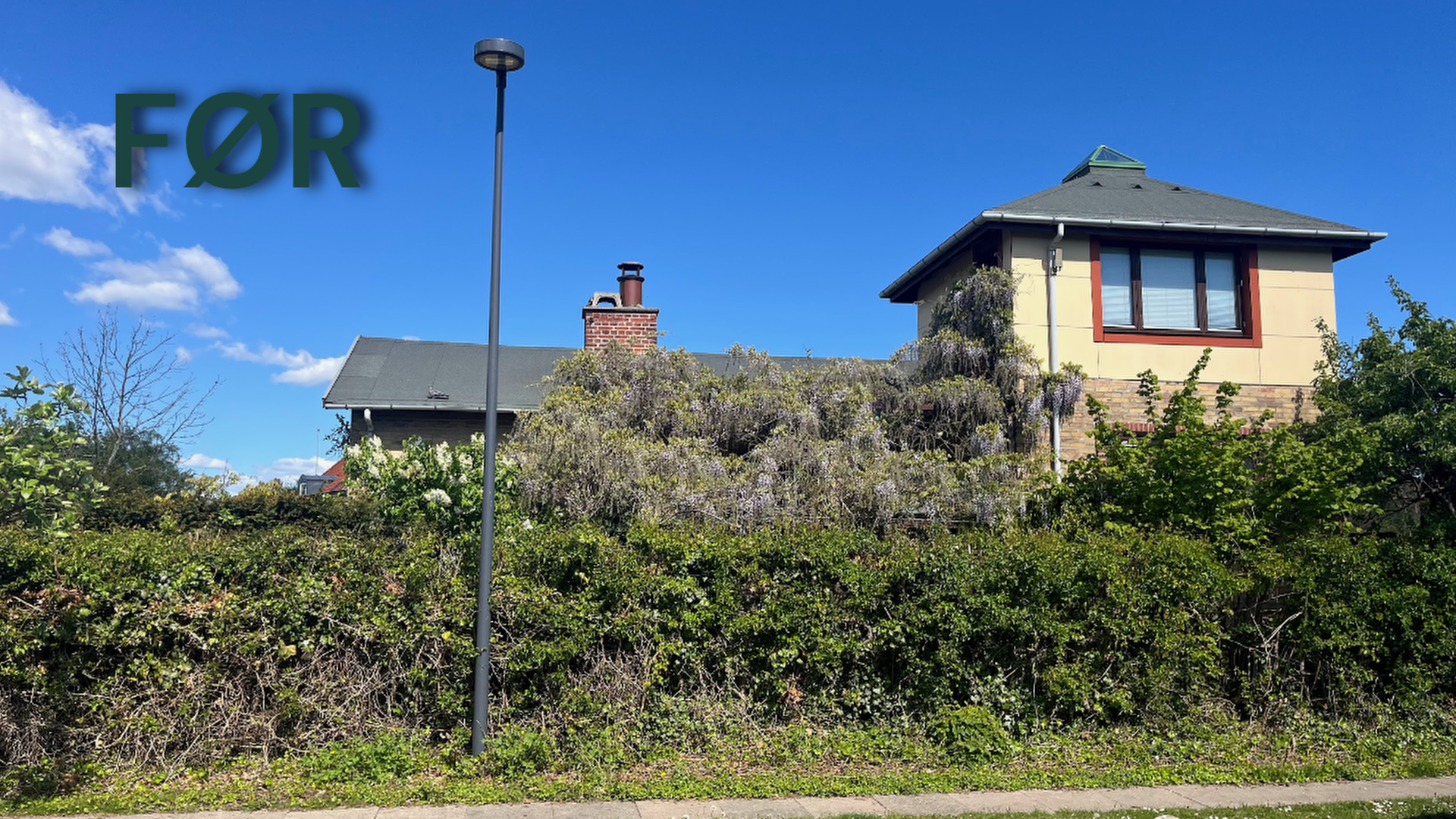 Indlæs video: Se den vilde forvandling!